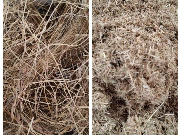 干草切斷效果對比